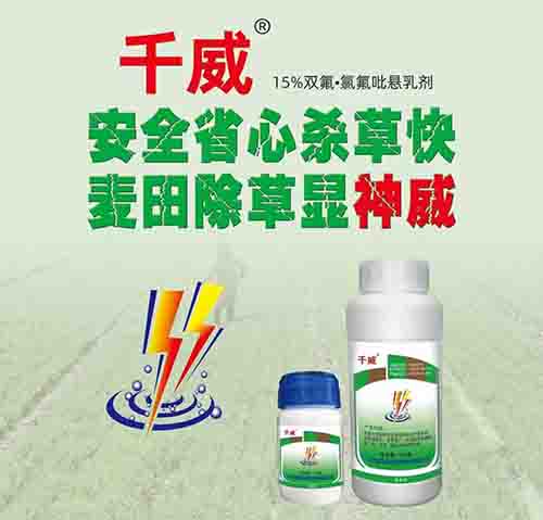 Ǯqg777(й)Ψһٷվ